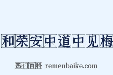 和荣安中道中见梅是什么意思的图片